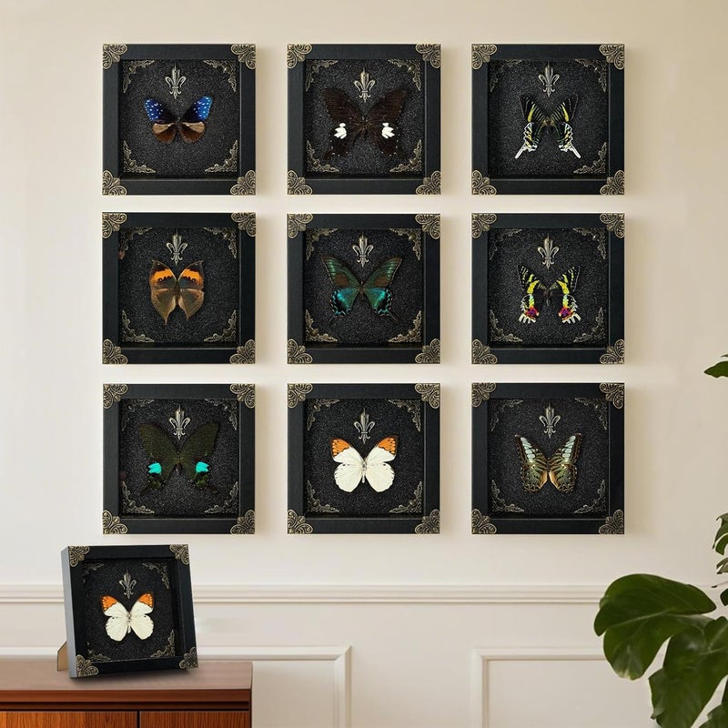 GDBEH Real Butterfly Framed Handmade - Taxidermy Butterfly Shadow Box - Real Framed Butterflies in a Box for Gothic Home Decor Aesthetic. (Hebomoia glaucippe) - Image 5